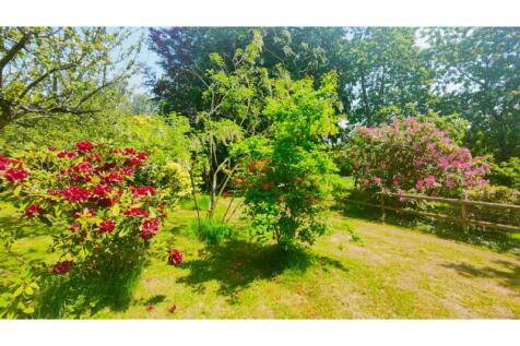Property Image 67