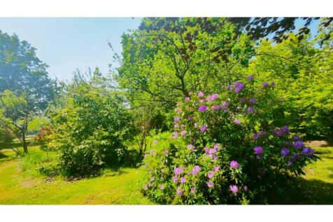 Property Image 68