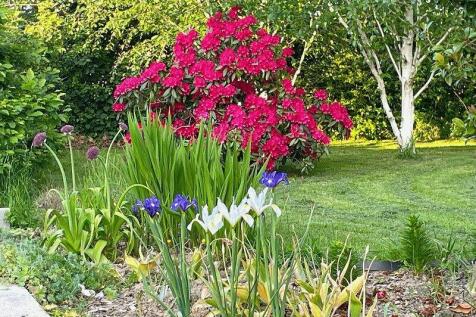 Property Image 34