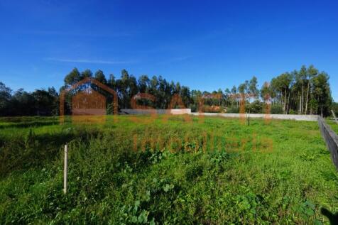 Ground