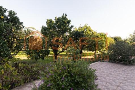 Property Image 84