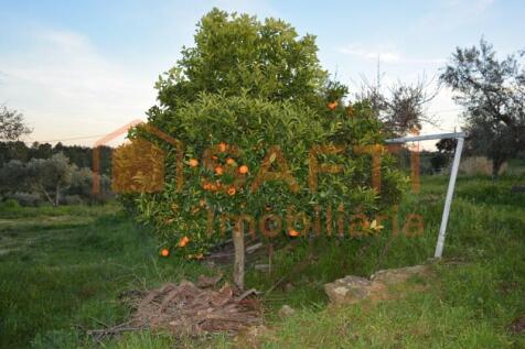 Property Image 54