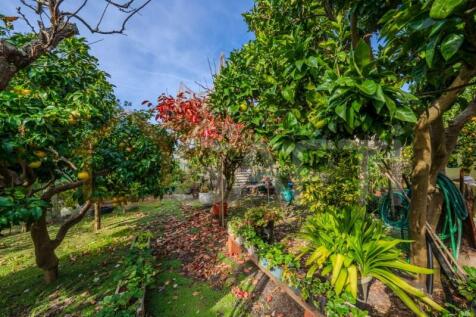 Property Image 54