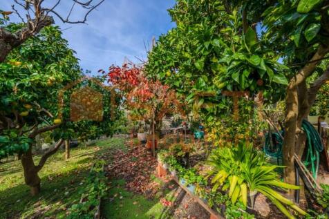Property Image 54