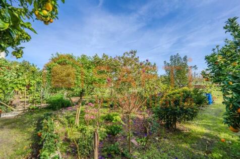 Property Image 55