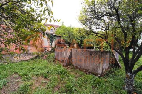 Property Image 64