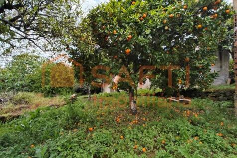 Property Image 70