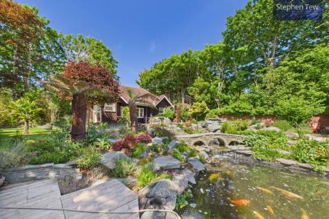 Property Image 42