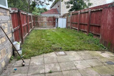 Back garden 