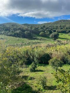 Land and views