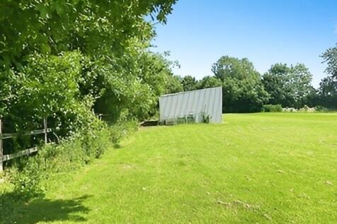 2b06f82c-IMG_3597.jpg