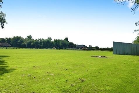 34f5e6e1-IMG_3599.jpg