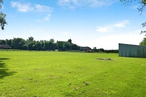 ab68d676-IMG_3599.jpg