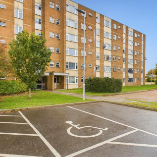 New Bittern External.png