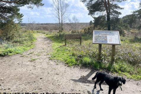 Parley Common NEW.jpg