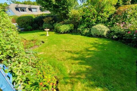 Rear lawn.jpg