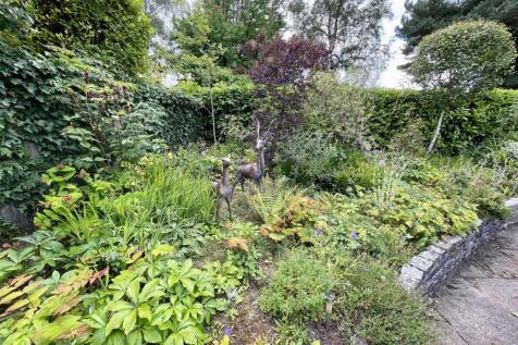 front flower bed.jpg