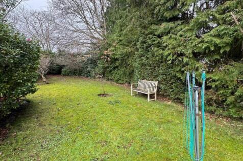 2. side garden2.jpg