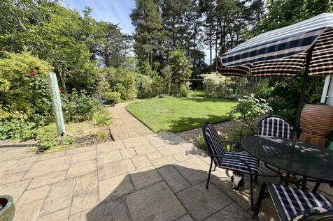 garden2.jpg