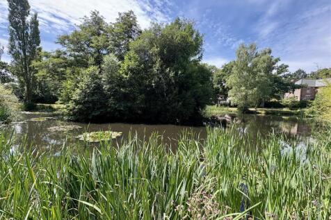 pond.jpg