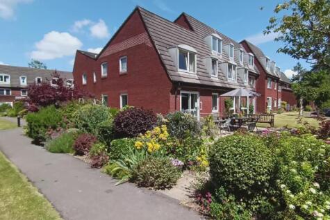 front garden homelands.jpg