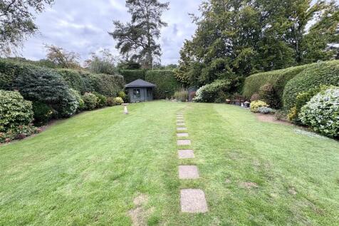garden2.jpg