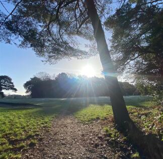 Queens Park walks (across the road)