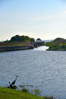 Image 80