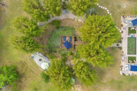 Image 87