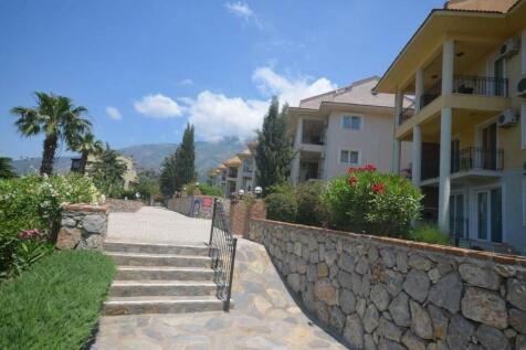 Neat &amp; Tidy Complex