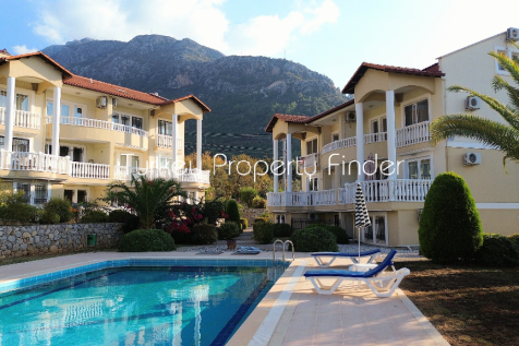 Mountain Backdrops