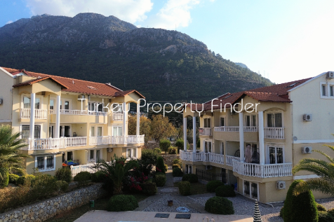 Mountain backdrops