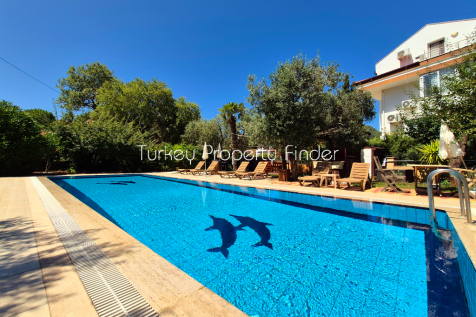 Property Image 39