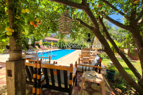 Property Image 40