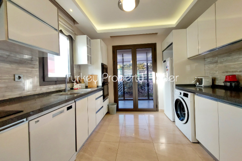 Modern Kitchen