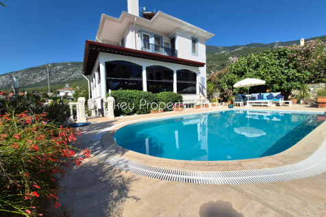 Property Image 54