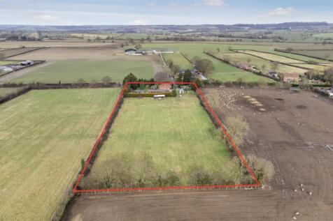DJI_0954.jpg
