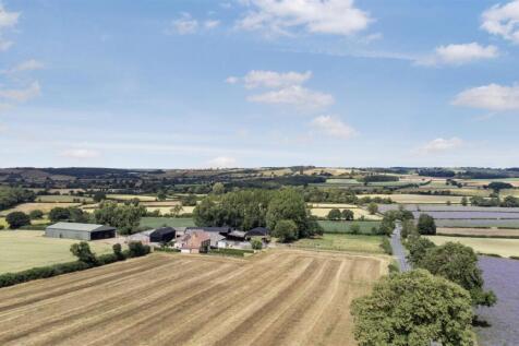 DJI_0280.jpg