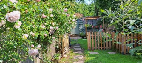 Property Image 16