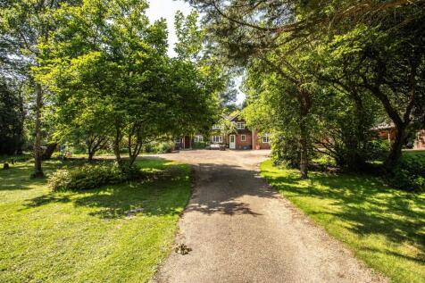 Property Image 34