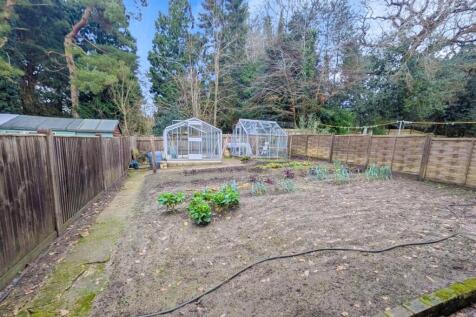 11-Untitled design (18).jpg