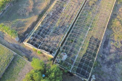 Greenhouses view