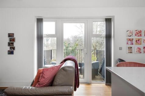 Kitchen / Living / Dining