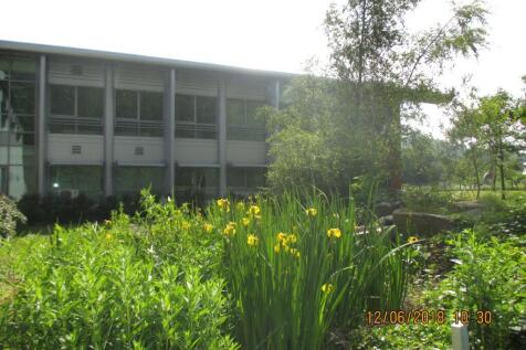Rear of building