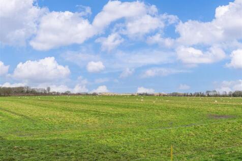 Photograph-8r.JPG