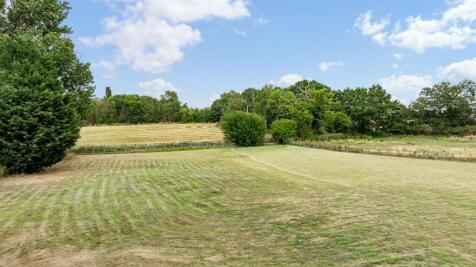 DJI_0493.jpg