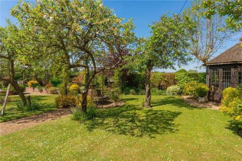 Lawns To Trees