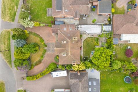 Birdseye