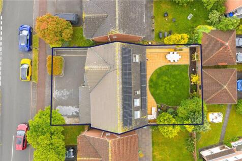 Birdseye