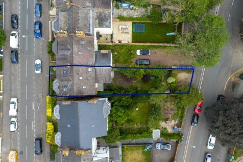 Birdseye